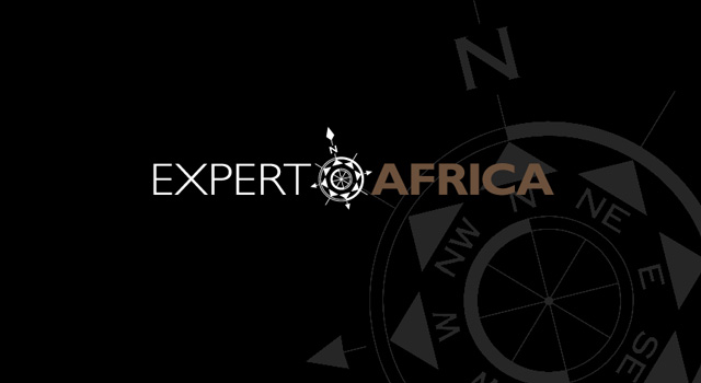 Expert Africa identity, print and web